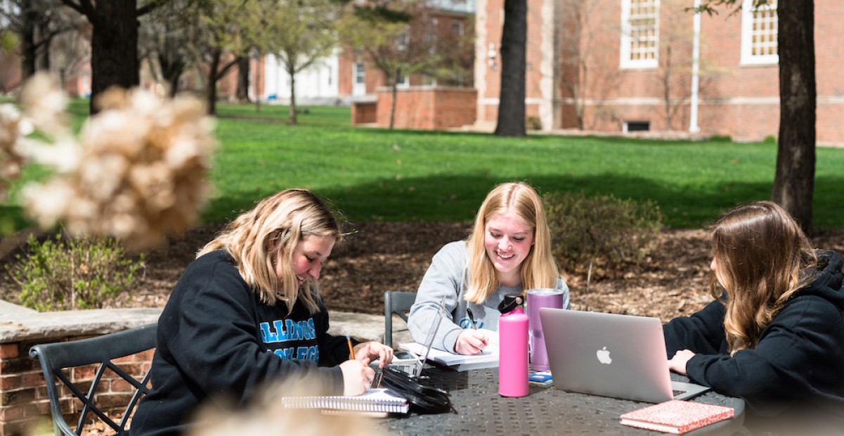 Students studying outside