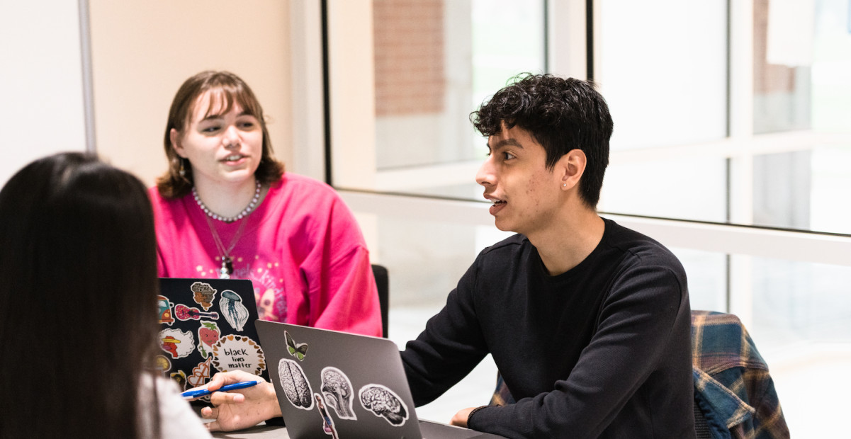 Students in discussion sitting with their laptops open